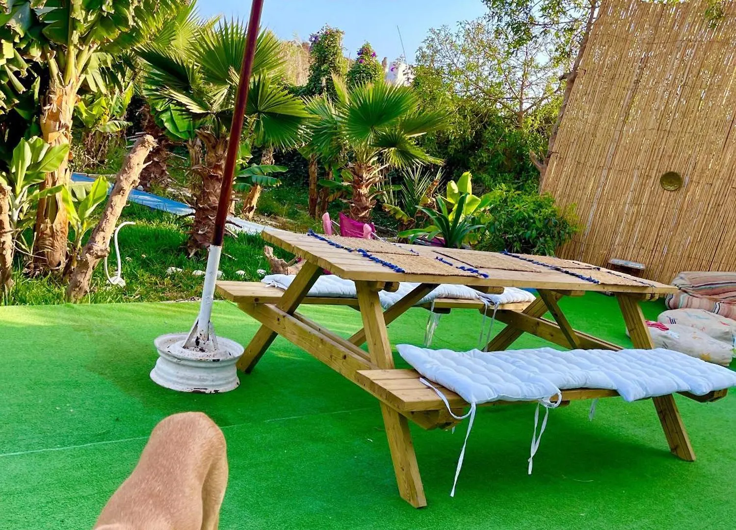 Tamraght Surf & Salsa Ocean House B&B 모로코